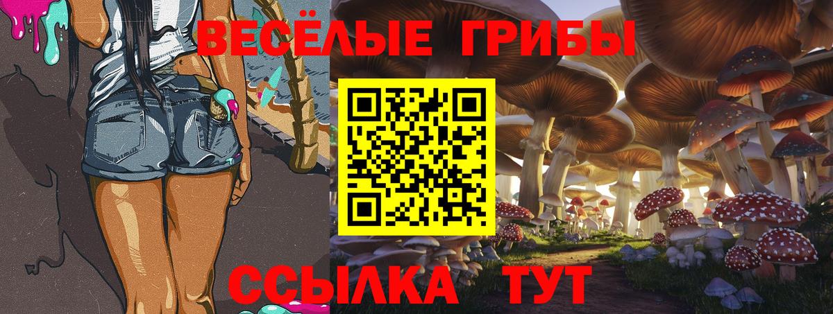 Ялуторовск  Псилоцибиновые грибы Psilocybe  Вход с VPN 