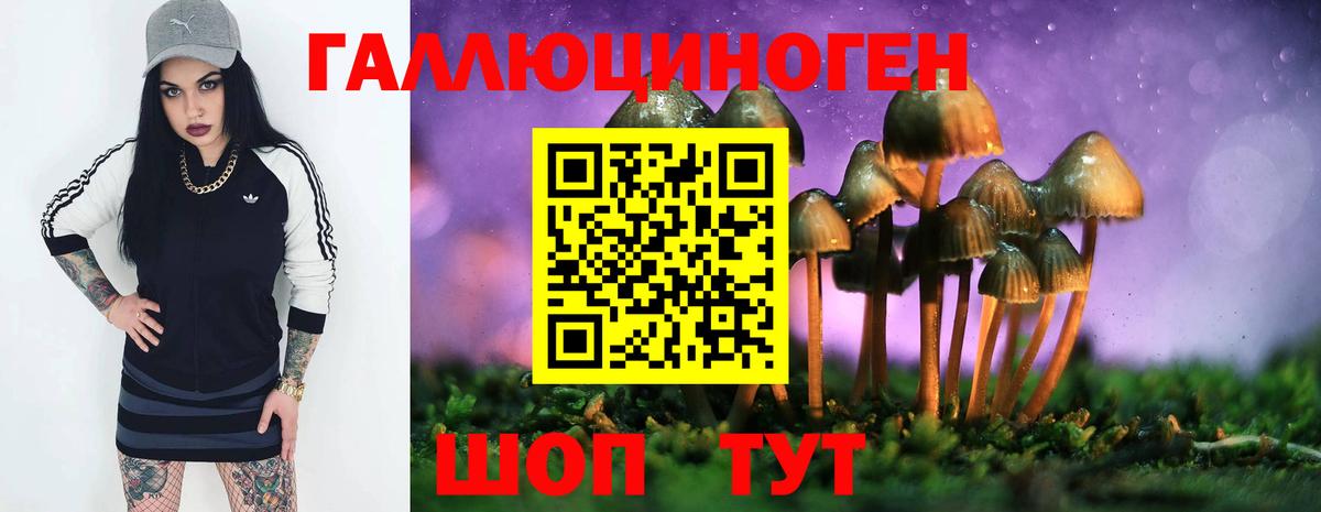 Псилоцибиновые грибы ЛСД Ялуторовск